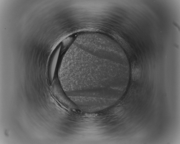 X0000099440484200806061047