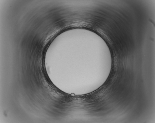 X0000099440486200806061047