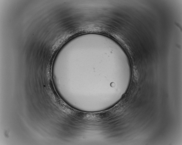 X0000099440487200806061047