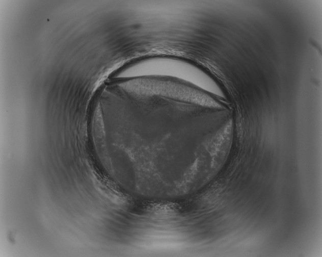 X0000099440488200806061047