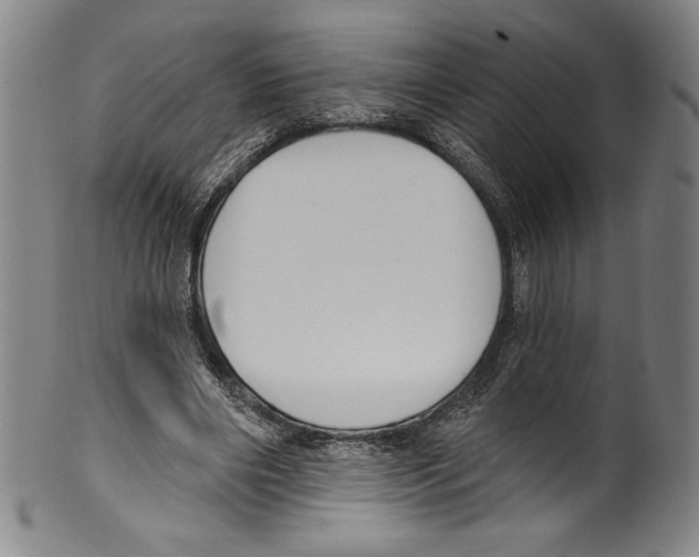 X0000099440490200806061047