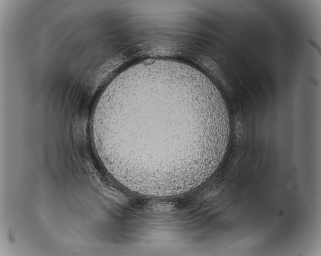 X0000099440491200806061047