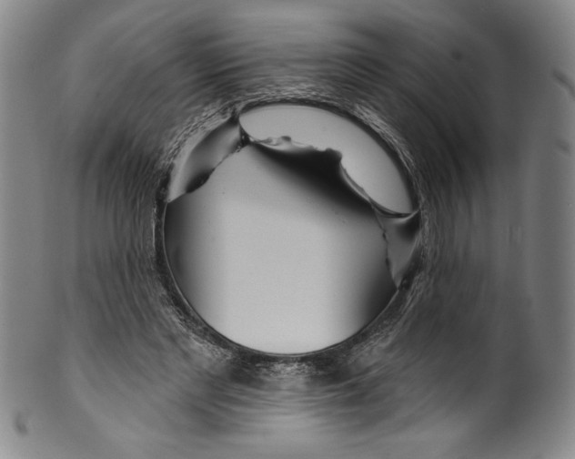 X0000099440493200806061047