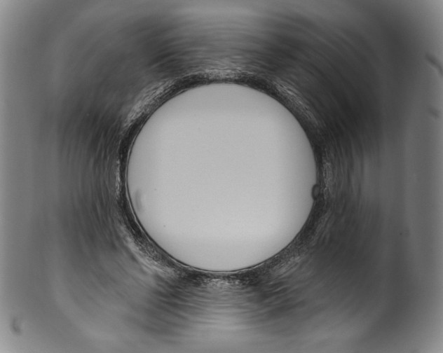 X0000099440494200806061047