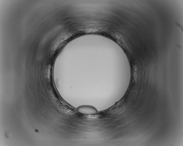 X0000099440495200806061047