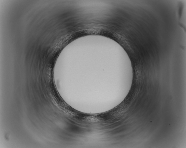 X0000099440498200806061047