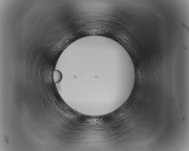 X0000099440499200806061047