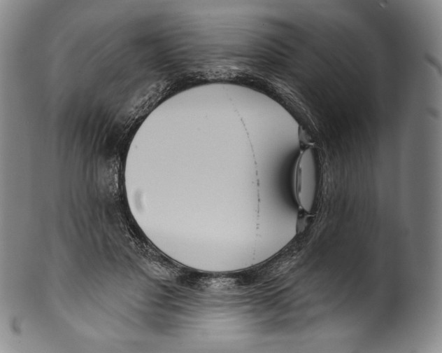 X0000099440501200806061047