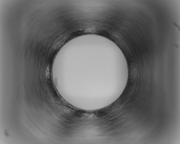 X0000099440502200806061047