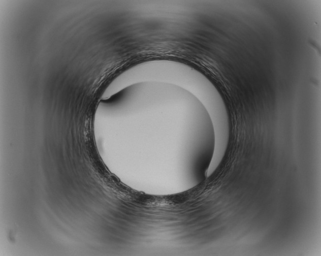 X0000099440503200806061047