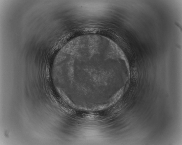 X0000099440504200806061047