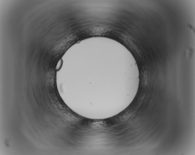 X0000099440505200806061047