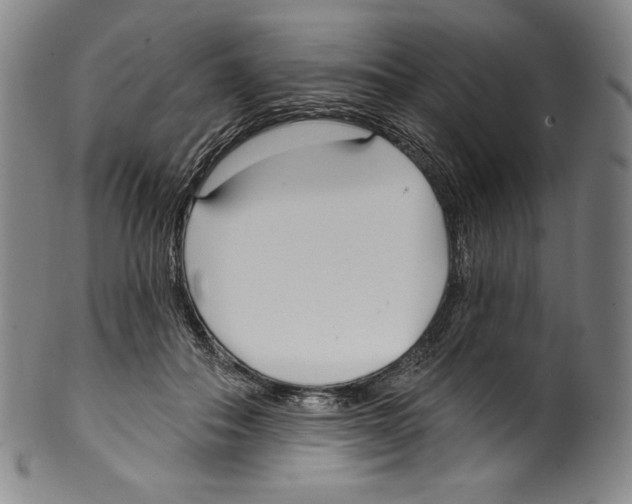 X0000099440506200806061047