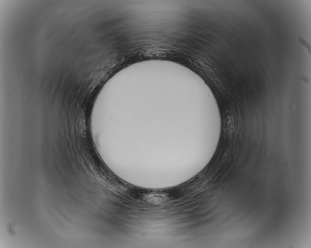 X0000099440508200806061047