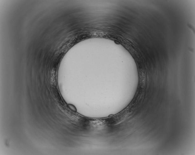 X0000099440511200806061047