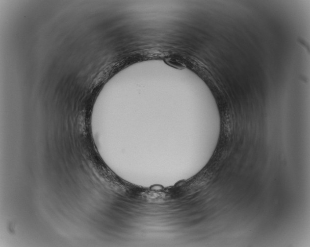 X0000099440512200806061047