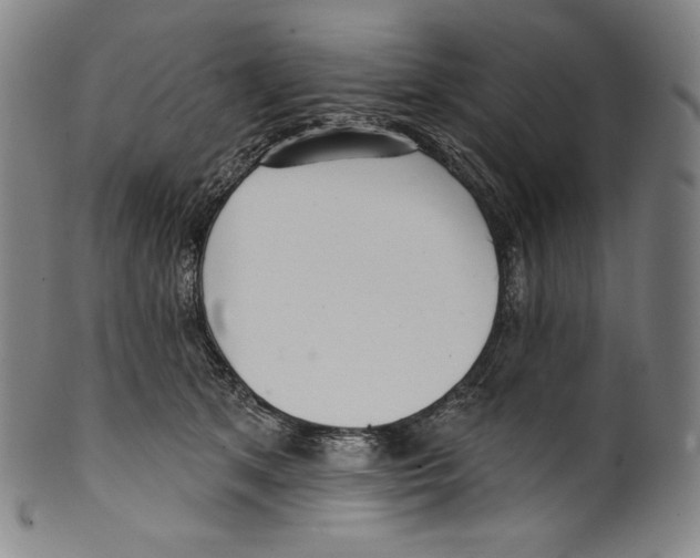 X0000099440513200806061047