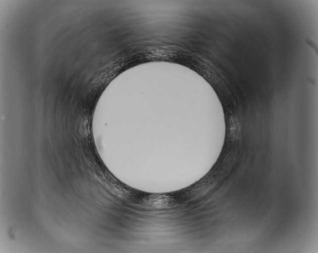 X0000099440514200806061047