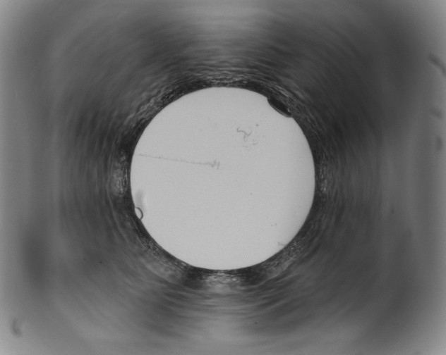 X0000099440515200806061047