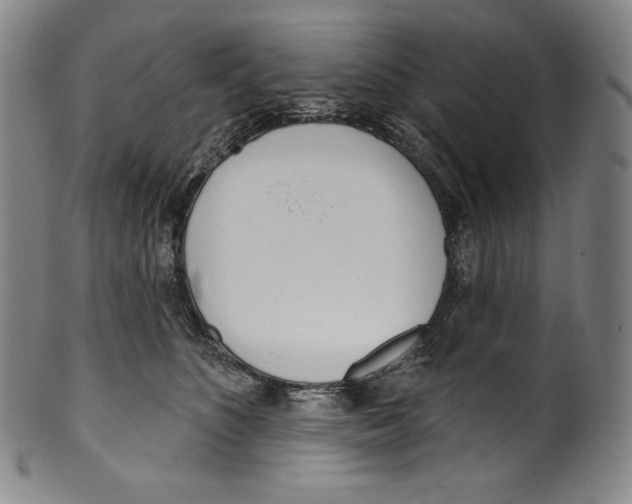 X0000099440516200806061047