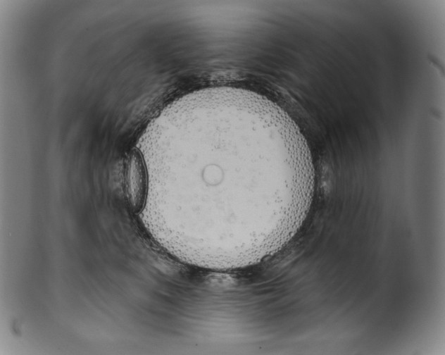 X0000099440519200806061046