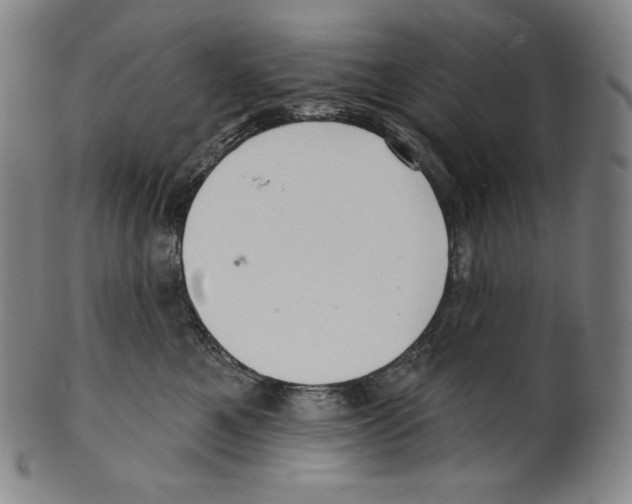 X0000099440521200806061046