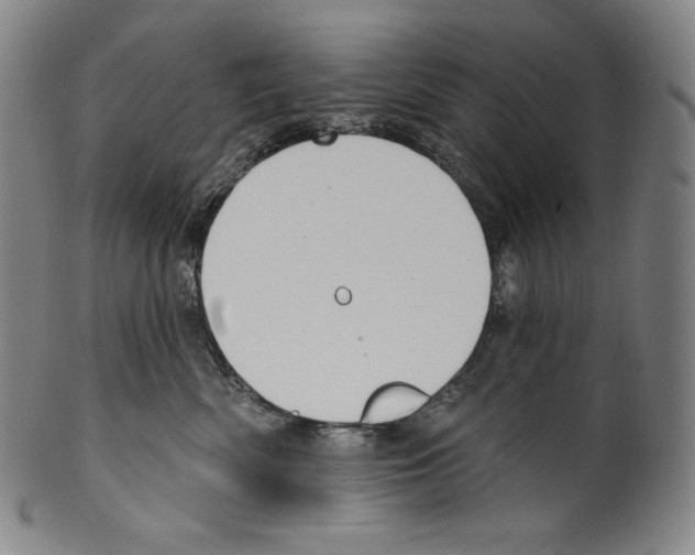 X0000099440522200806061046