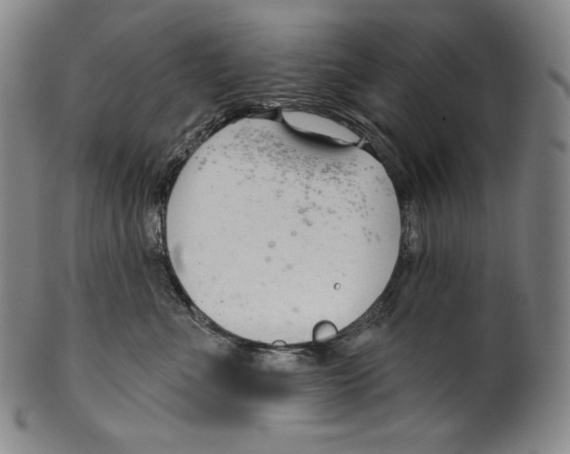 X0000099440523200806061046