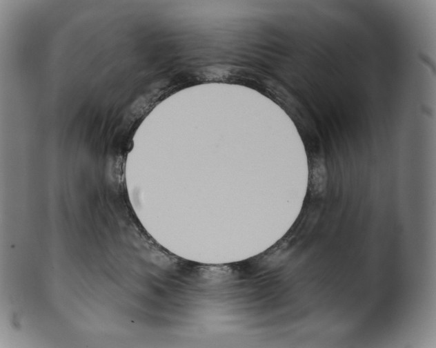 X0000099440525200806061046