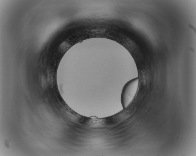 X0000099440526200806061046