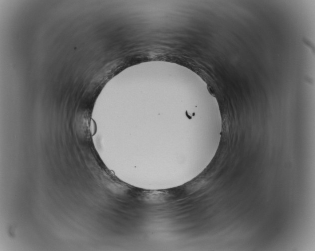 X0000099440527200806061046