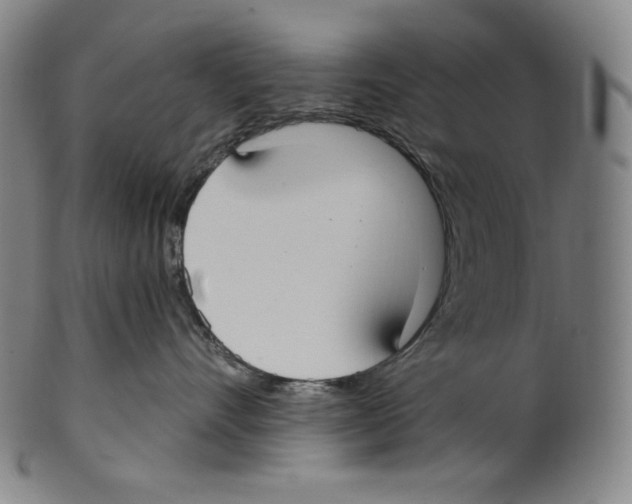 X0000099440528200806061046