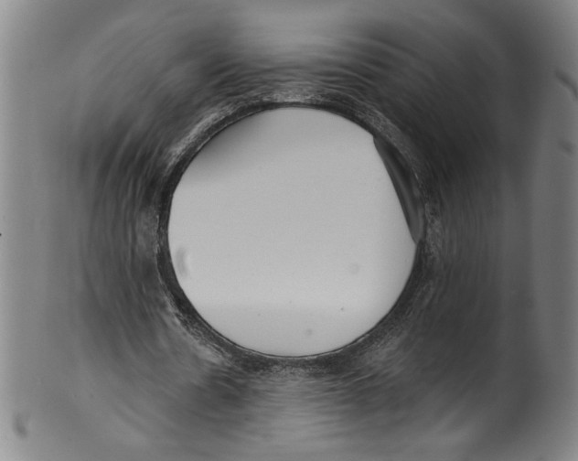 X0000099440530200806061046