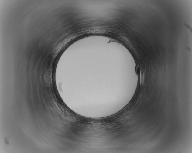 X0000099440531200806061046