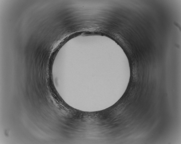 X0000099440532200806061046