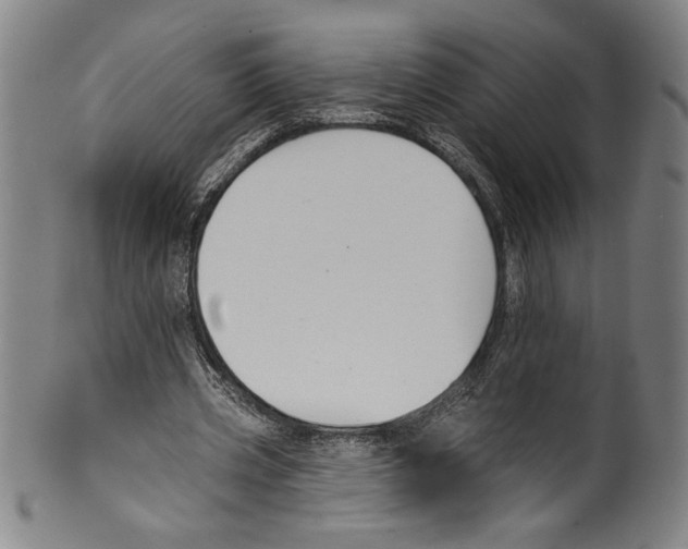 X0000099440533200806061046