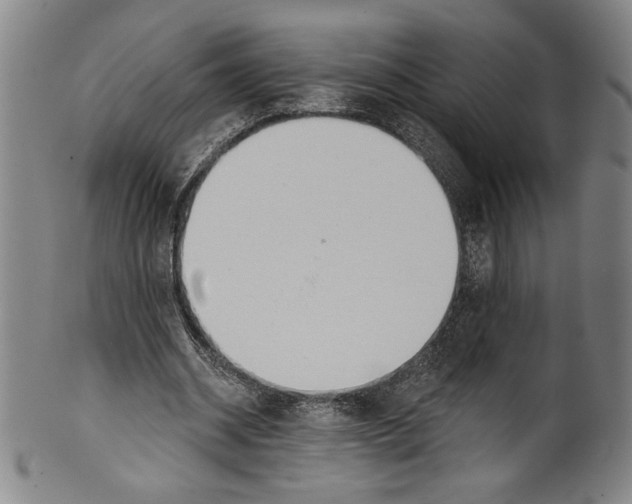 X0000099440534200806061046