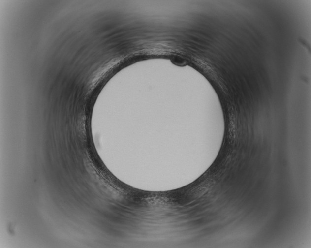 X0000099440535200806061046