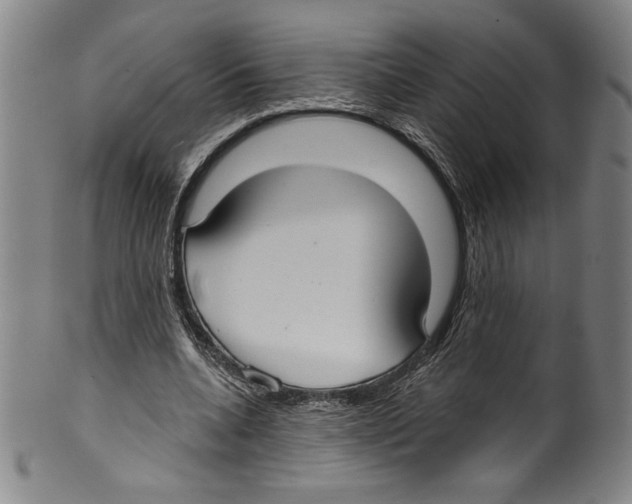 X0000099440536200806061046