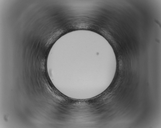 X0000099440537200806061046