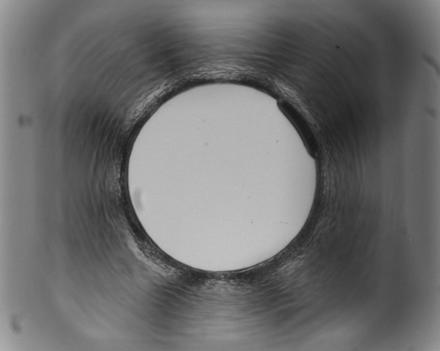 X0000099440538200806061046