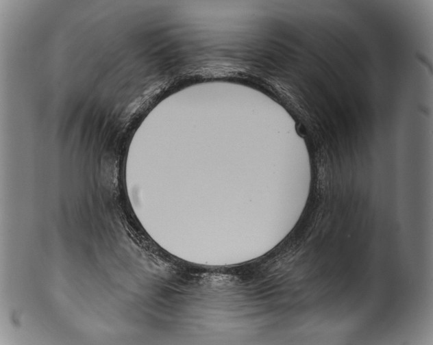 X0000099440539200806061046