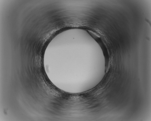 X0000099440540200806061046