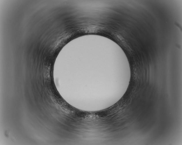 X0000099440543200806061046