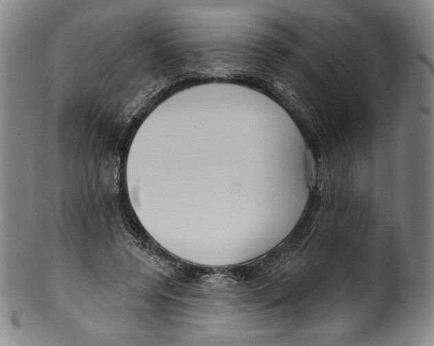 X0000099440544200806061046