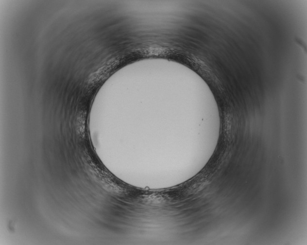 X0000099440545200806061046