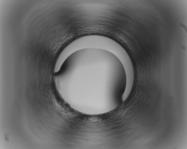 X0000099440546200806061046