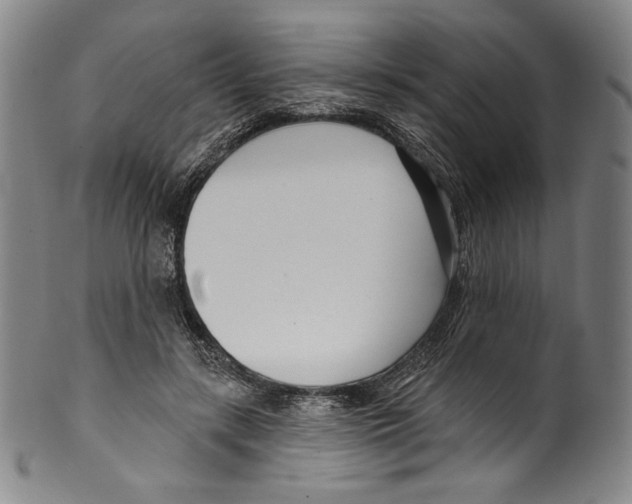 X0000099440547200806061046