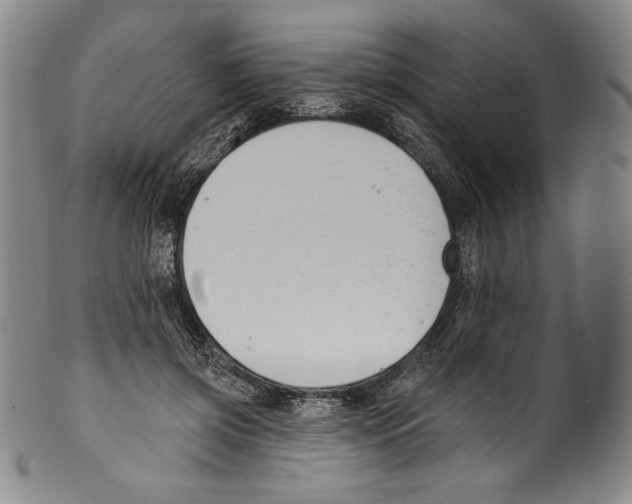 X0000099440549200806061046