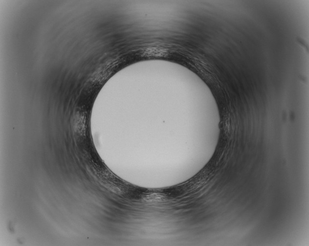 X0000099440551200806061046